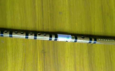 【精選】笛子作文300字四篇