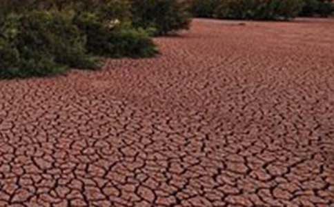 ��������������700��