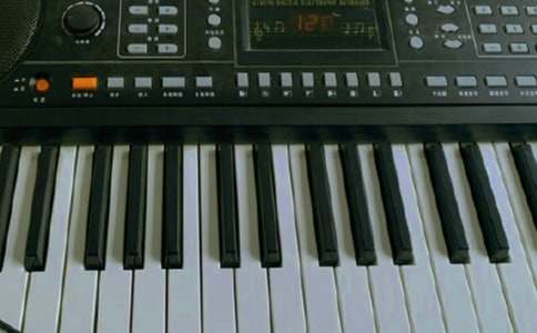 我喜歡的電子琴作文