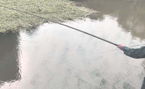 �Ͱְ���~����