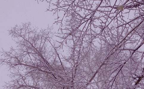 ����ͯԒ����