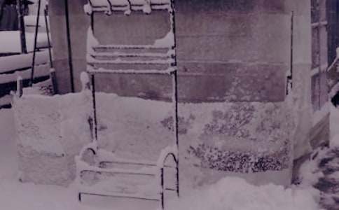 �茑���ճ��F������