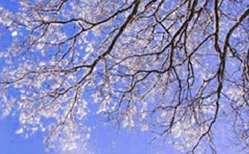 ���P����ĺ��L������