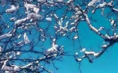 �����ͯԒ����