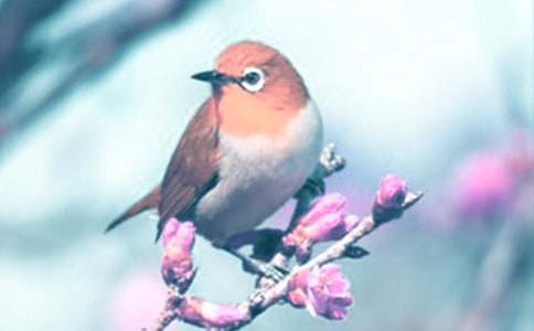 �^���(d��ng)ֲ������500��