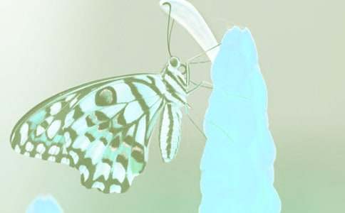 動(dòng)植物珍惜生命的作文