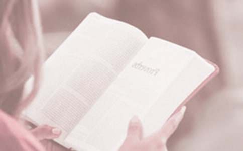 �����x��������С�W��