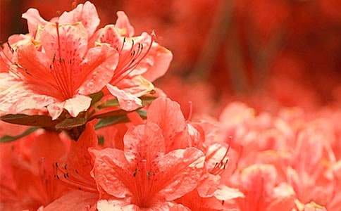 �^����N������7ƪ