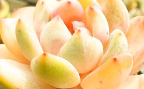 �����^����ӛ���ąR��ʮƪ