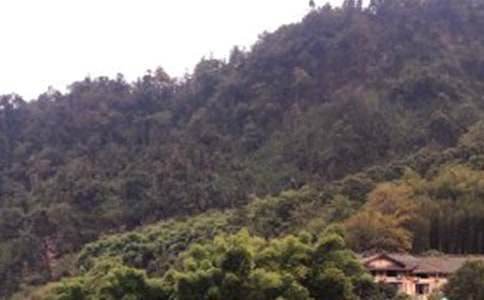 峨眉山游玩作文