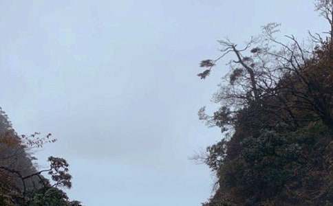 �ζ�üɽ-��ӛ