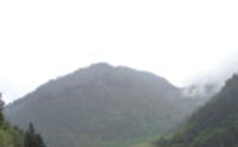 �����Ķ�üɽ����