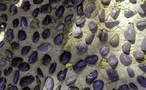 �殐���Z��ʯ���꼉(j��)����