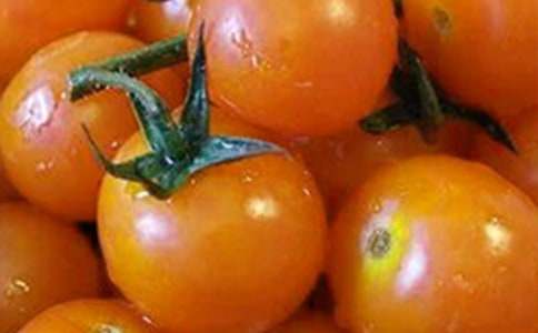 有關摘番茄的小學作文