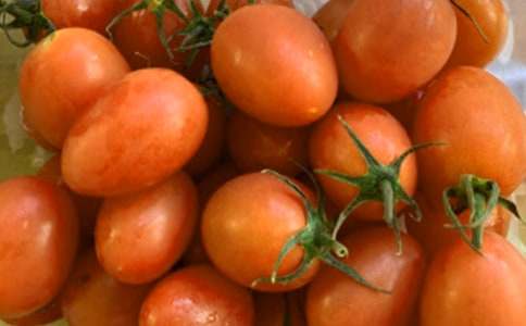 碩果累累的番茄作文600字