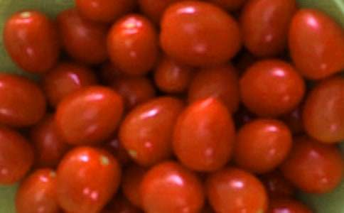 我喜歡的一道菜番茄炒蛋作文400字(精選6篇)