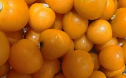 ��һ�������ѳ��������ģ����x16ƪ��