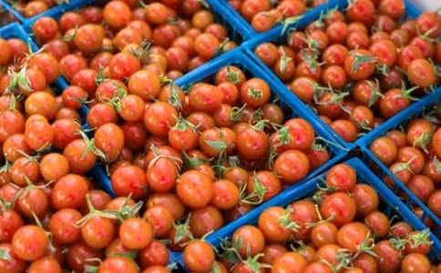 ��һ�η��ѳ�������