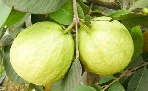 �Ґ�(��i)���l(xi��ng)�ķ�ʯ������