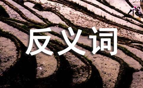 ���з��x�~���~�Z