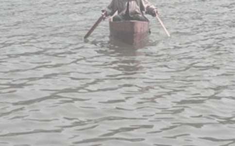 �ĺ���������