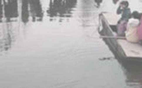 書海泛舟初三作文