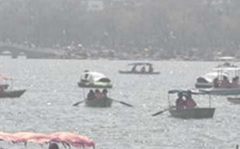 �������� �A�ĉ�(m��ng)�m(x��)����