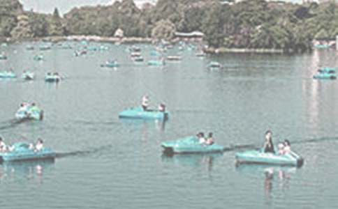 ������������(4ƪ)