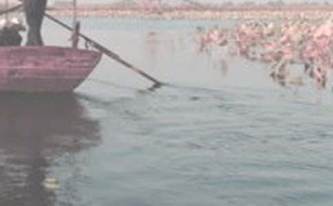 ������������