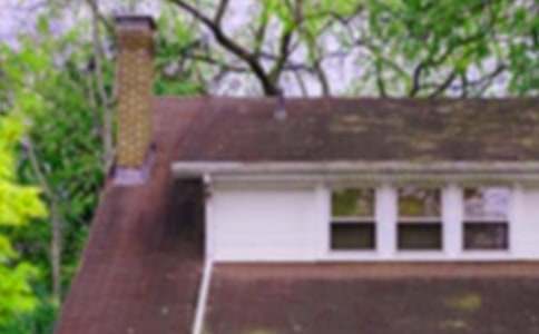 �췿��ͯԒ����