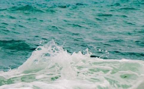 �w�B���~Ԋ��