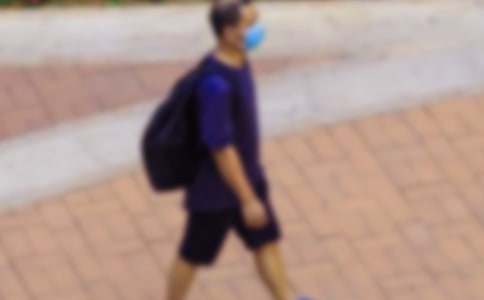 狗窩作文400字九篇