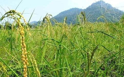 ���^�����r(sh��)���Ĵ��졷���x�������