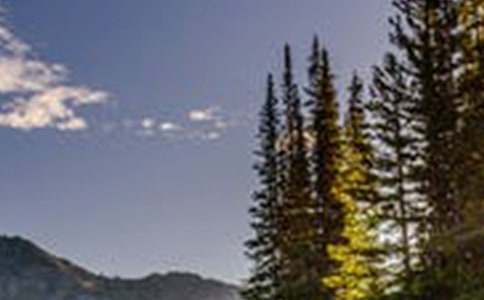 ����(sh��)�á���(d��)�ص��L(f��ng)��������4ƪ