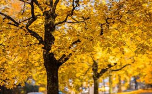 ��(sh��)�õĪ�(d��)���L(f��ng)��������ƪ