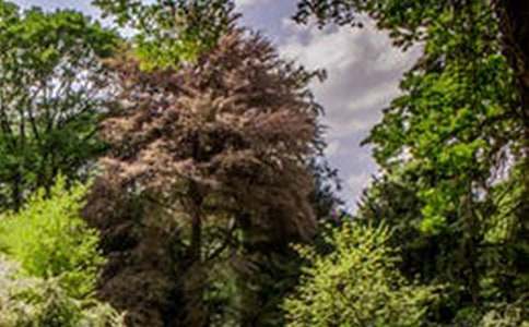 �����á��ط��L������3ƪ