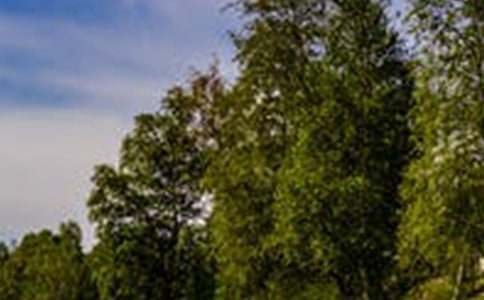 ��(sh��)�õĳ��L(zh��ng)���L(f��ng)��������ƪ