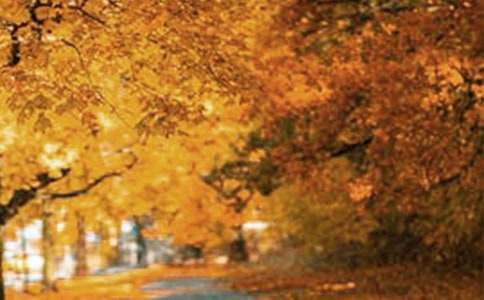 �������ľ��x�������е��L��