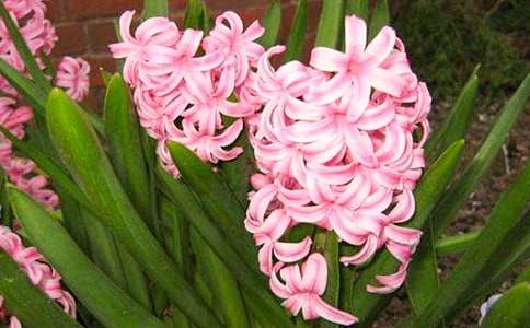 �������L(f��ng)��������500��