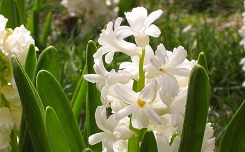 �������L(f��ng)��������7ƪ