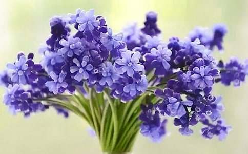 �L(f��ng)��������(����15ƪ)