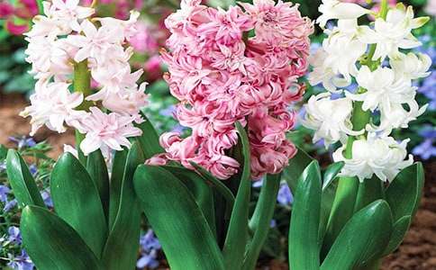 �L(f��ng)�������ļ��\15ƪ