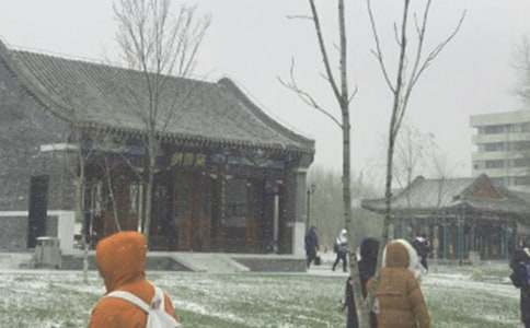 �@�����Lѩ����