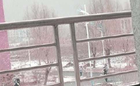 վ���Lѩ������