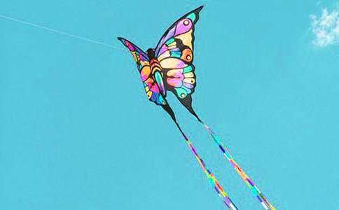 �L(f��ng)�~�c����(y��u)���������