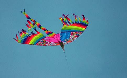 �L(f��ng)�~�c����������8ƪ