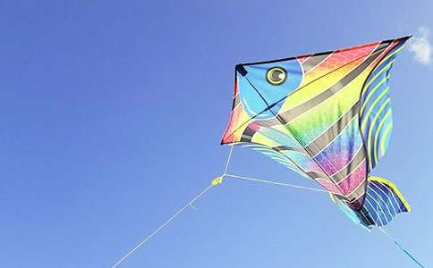 �L(f��ng)�~������(����15ƪ)