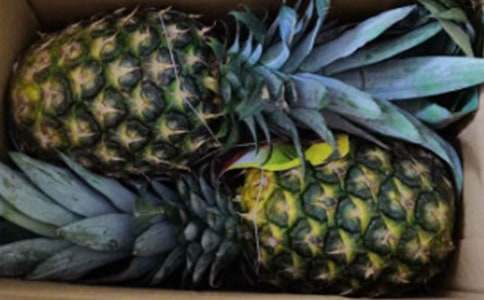 ���P(gu��n)���P�滨�Ļ��Z