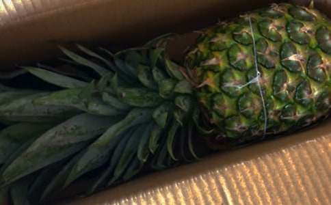 С�W(xu��)��(y��u)������:�Ґ�(��i)�P��