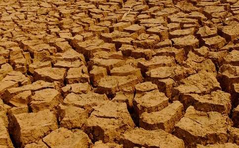 �����ֹ��Į���͸ɺ������ģ����o(h��)�҂��ľGɫ�҈@